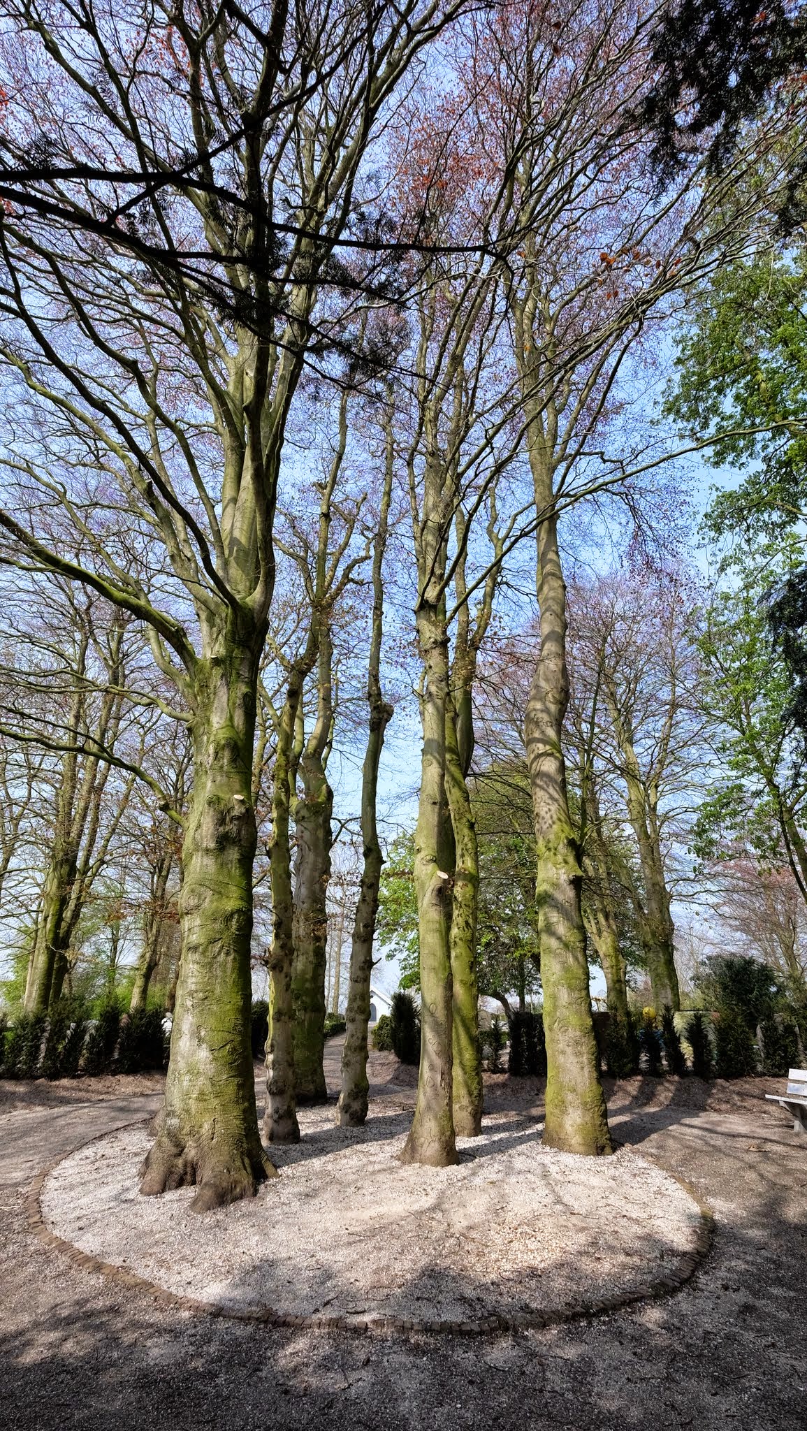 Broek in Waterland